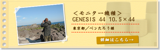 GENESIS 44 10.5×44
